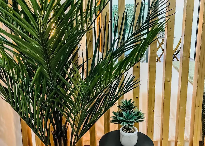 Terrazas De - David 公寓 *